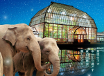 東山動植物園「2022ナイトZOO」が開催されます！！！！