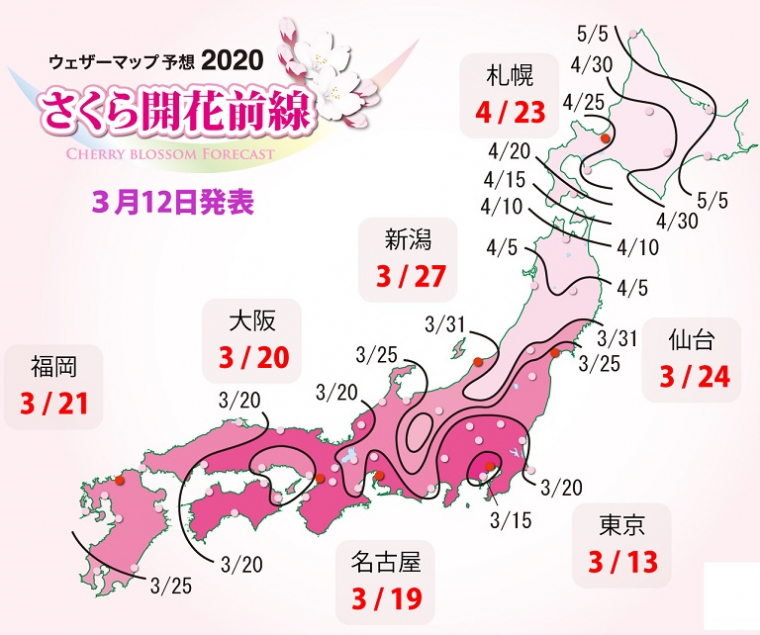 桜開花予想2020