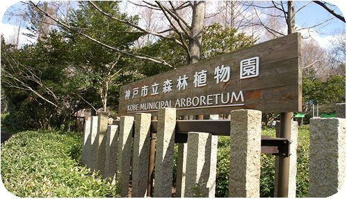 神戸市最大の植物園