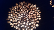 2019年冨具神社での「美浜竹灯り」神秘的な夜を過ごせます。